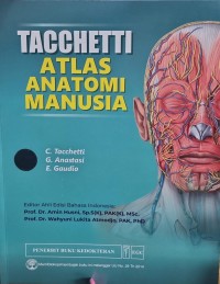 Image of Taccheti Atlas Anatomi Manusia